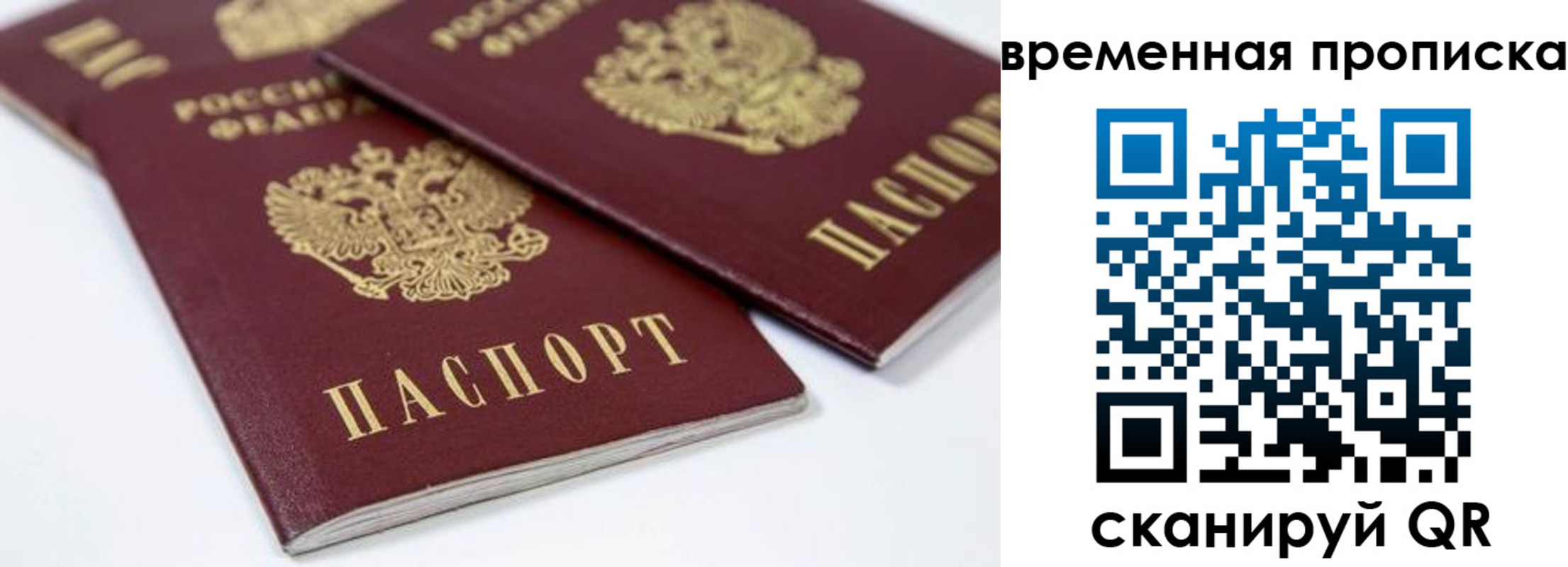 прописка для школы в Архангельской области